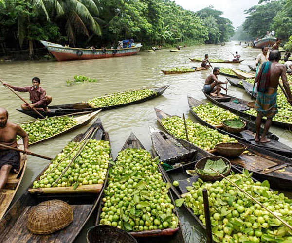04 - 05 আগস্ট : বরিশাল ভাসমান পেয়ারা বাজার ডে লং ট্যুর