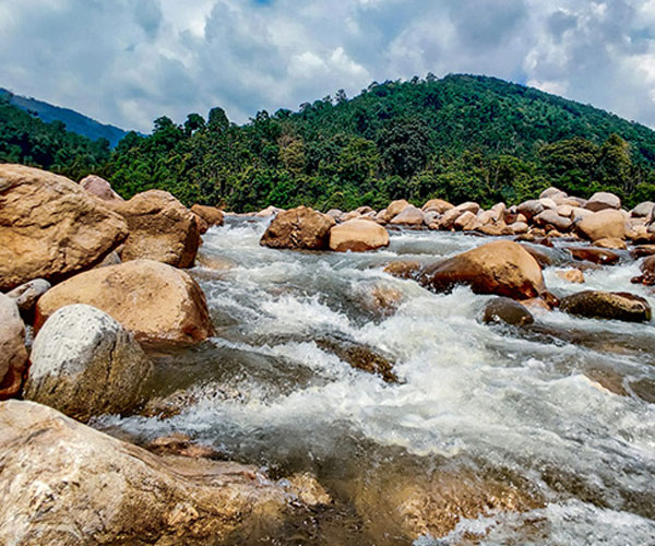 Rangpani