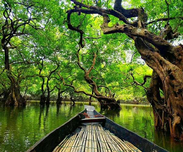10 - 12  জুলাই: হোটেল নূরজাহান গ্রান্ডে মাত্র 7000 টাকায় সিলেট ভ্রমণ, STG এর সাথে